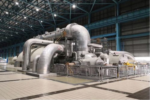 上海這五年 技術(shù)驅(qū)動下的生態(tài)新貌與垃圾分類新風尚